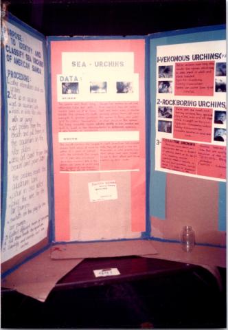 Science Fair 1986