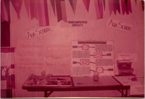 Science Fair 1985