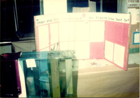 Science Fair 1990