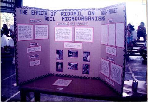 Science Fair 1995