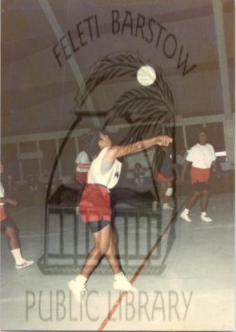 Volleyball 1991