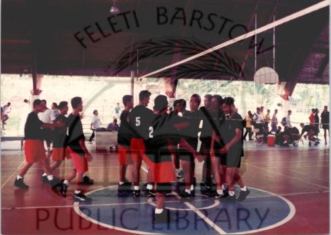 Volleyball 1994