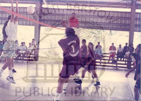 Volleyball 1996