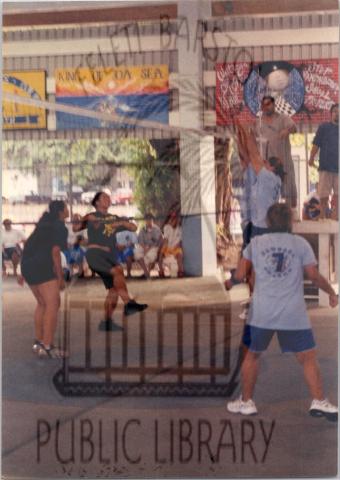 Volleyball 2003
